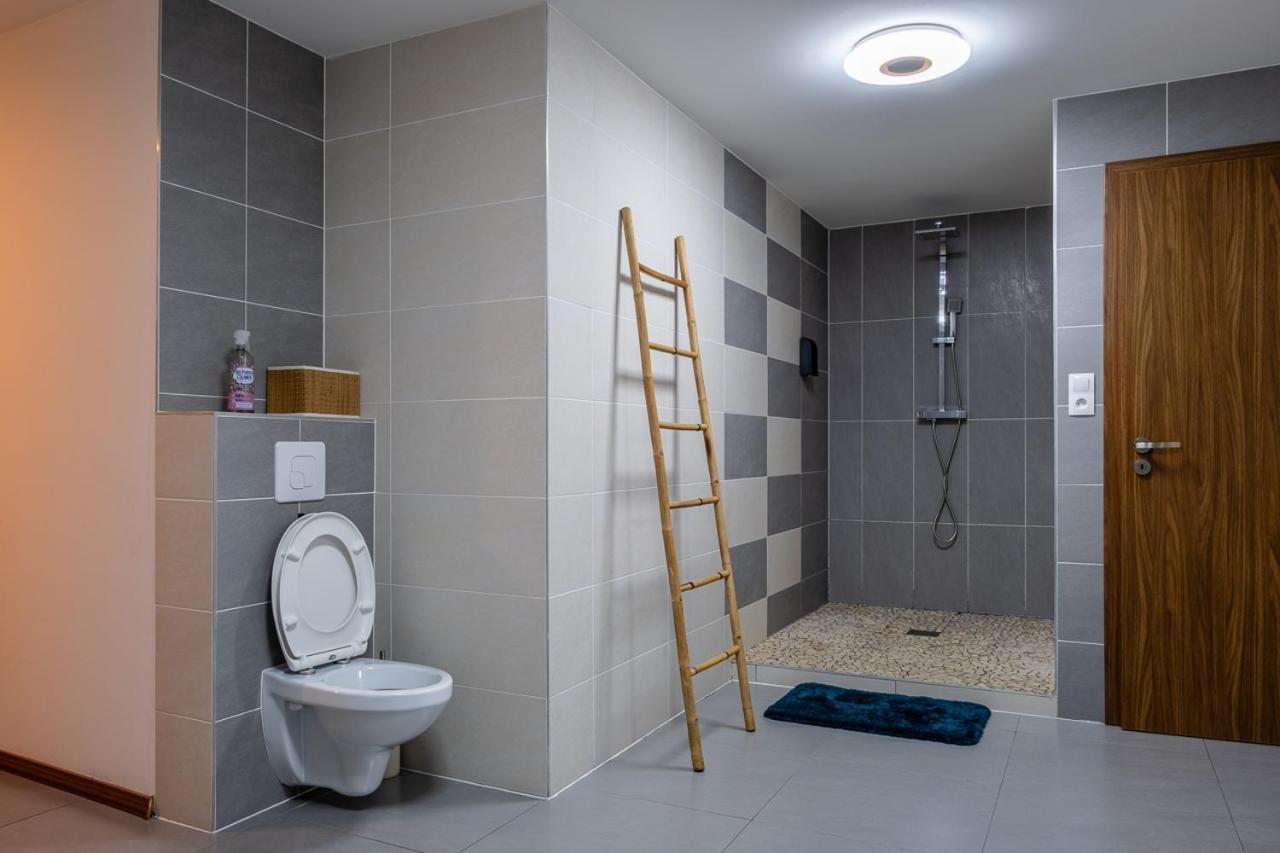 Appartement Standing Piscine Interieur Privatisee . Mutzig Exterior photo